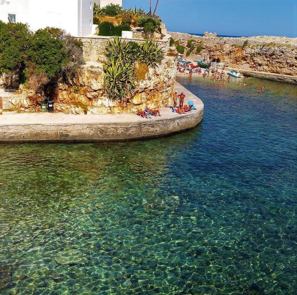 El-Mar Locazione Turistica House With Exclusive Terrace Apartman Polignano a Mare Kültér fotó